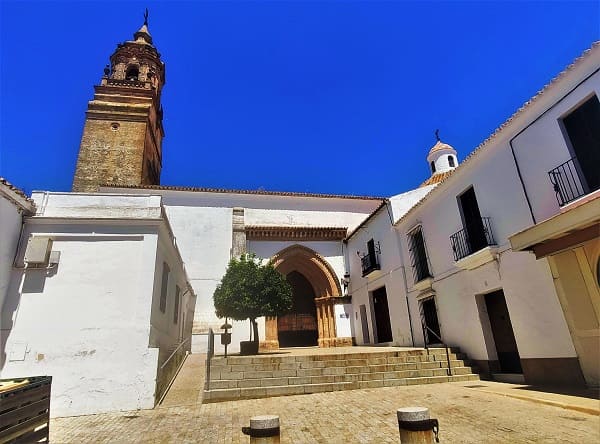 Hermandad Nazareno, Carmona