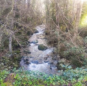 ruta de los pescadores, Arenas de San Pedro