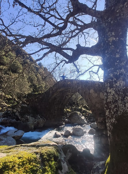 puente del puerto de candeleda, gredos