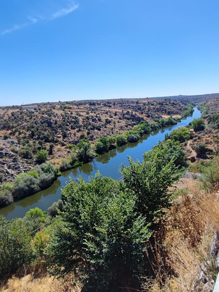 puente de los cinco ojos de Ledesma