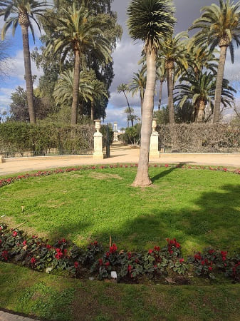 monumento a Colon, Sevilla