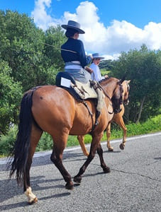 romeria de San Isidro en Los Barrios