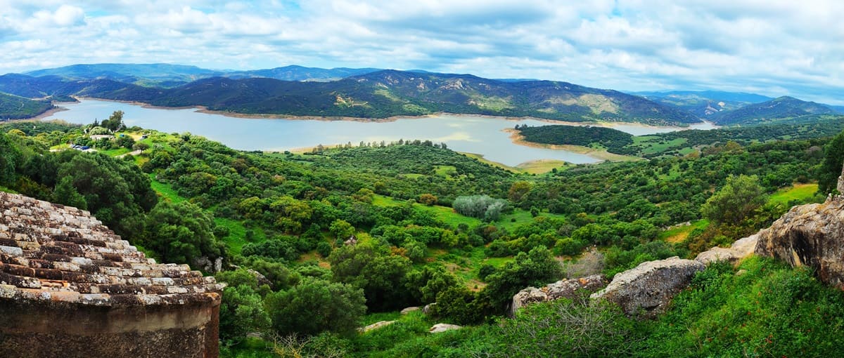 naturaleza en Castellar de la Frontera