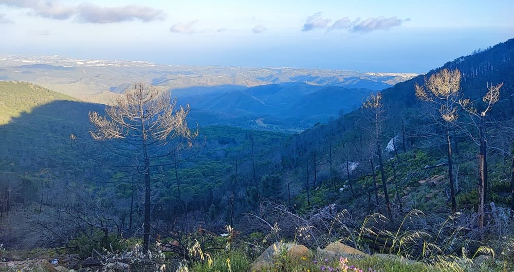 Puerto de Peñas Blancas, Genalguacil