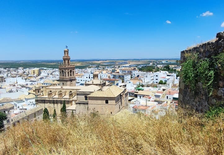 vistas desde el castillo, Moron de la Frontera