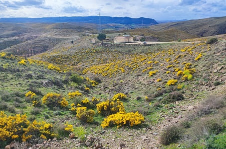 Bilibis, Calatayud